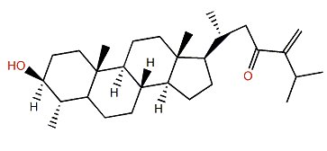 Erectasteroid A